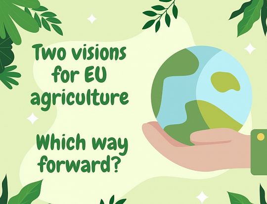 2-visions-for-agriculture-1734968452.jpg