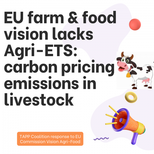 Copy-of-EU-farm-food-vision-lacks-Agri-ETS-carbon-pricing-emissions-in-livestock-1920-x-1920-px-1739980954.png