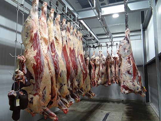 slaughterhouse-01730909934.jpg